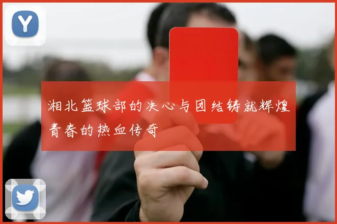 湘北篮球部的决心与团结铸就辉煌青春的热血传奇