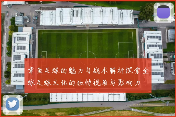 章鱼足球的魅力与战术解析探索全球足球文化的独特视角与影响力